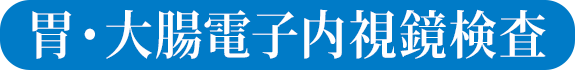 胃・大腸電子内視鏡検査