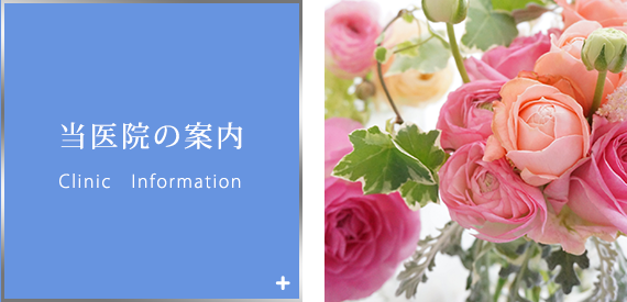 当医院の案内